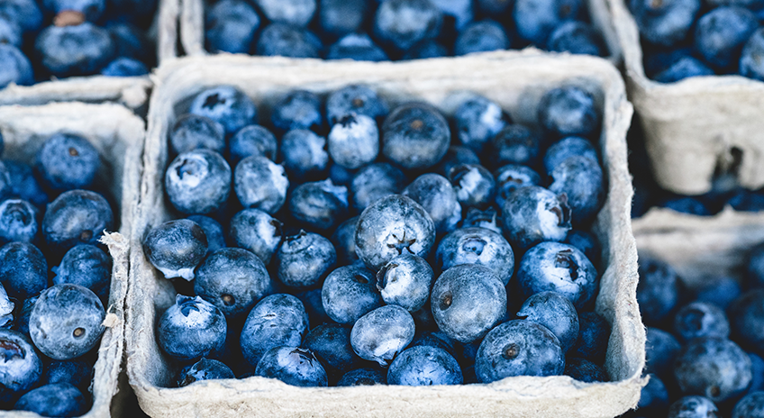 Blueberry blender muffins